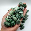 Tree Agate Natural Healing Crystal Gemstone tumbled & hand polished