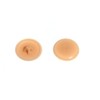 SCREW COVER CAP FOR POZI SCREW BEECH No. 6 & No. 8 ( pack of 50 )