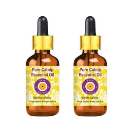 Deve Herbes Pure Catnip Essential Oil (Nepeta cataria) with Glass Dropper Steam Distilled (Pack of Two) 100ml X 2 (6.76 oz)