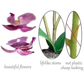 BINFEN Mini Artificial Silk Orchid Potted Flowers - 2pcs Real Touch Fake Small Plants in Ceramic Vase for Home Office Bathroom Living Room,Tiny Faux Table Shelf Decor, White & Purple