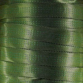 West Coast Paracord 1-Inch Tubular Nylon Webbing – Premium Heavy Duty Lightweight with Breaking Strength of 4000 Pounds – Outdoor All Purpose Straps for Climbing and Securing (Kiwi, 5 Yards)