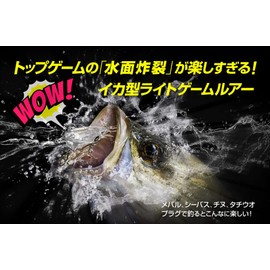 Pudley Ikarua Jet Regular SSS (#01 Pure Clear)