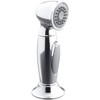 KOHLER K-10101-CP Accent Sidespray Faucets, Polished Chrome