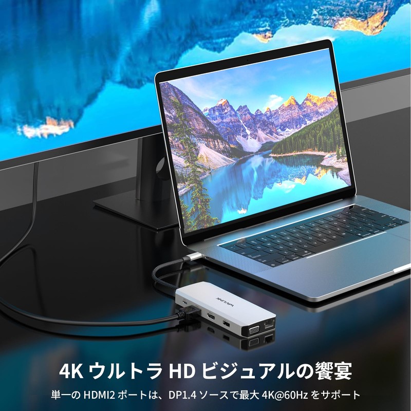 WAVLINK USB Type-C Hub HDMI 4K Output 12-in-1 Multifunction Adapter
