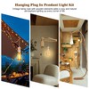 2 Pcs Plug in Hanging Light Kit, Vintage Hanging Pendant