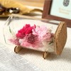 Tea Sight Preserved Flower Bottle Flower Gift Soleil Mother's Day