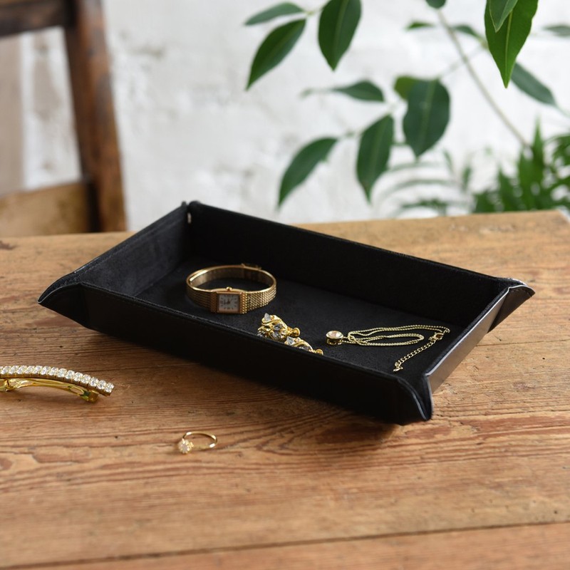 Chatani Sangyo 863-403BK Supplement Button Tray, Rectangle, Black