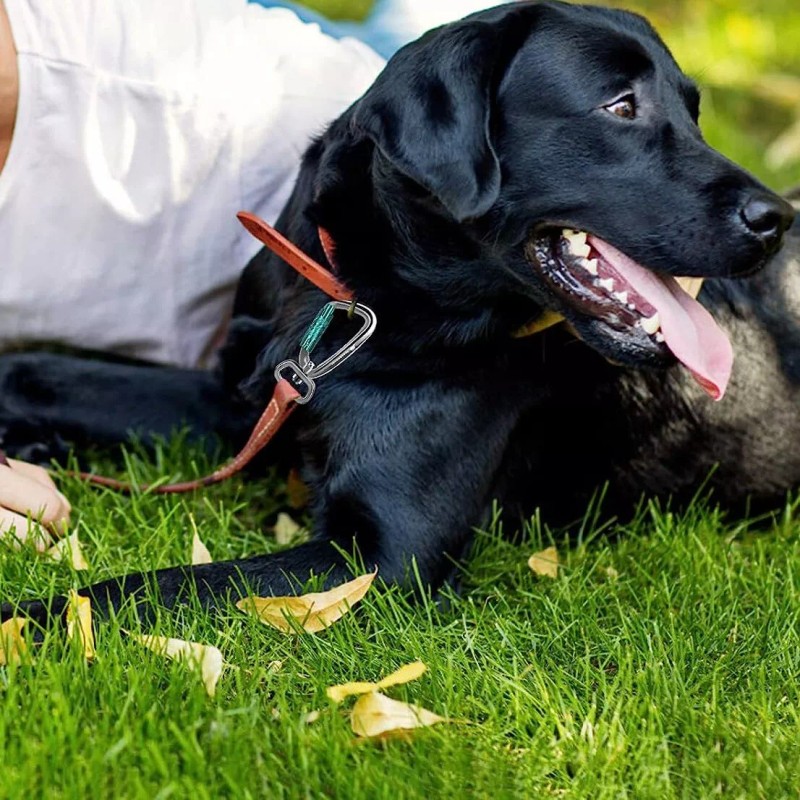 Panpazhe Locking Carabiner Clip 2.5" with Swivel Ring for Securing