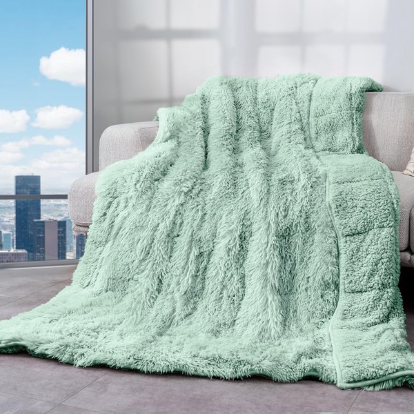 Cottonblue Weighted Blanket 20lbs 60x80 inches for Queen Bed, Faux