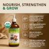 REJUVENATURALS - Aceite de ricino orgánico prensado en frío 473
