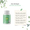 Zinc-50 Depot – 25 mg Zinc (Elementary Content) per 1/2
