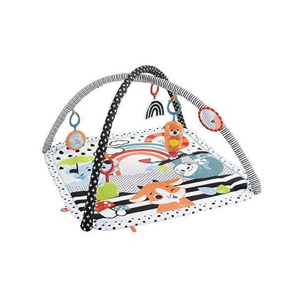 Fisher-Price 3-in-1 Music, Glow and Grow Gym, Infant Activity Play mat for Tummy time and take Along