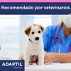 Adaptil Junior - Antistress for puppies - Adaptation to home,