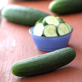 Poinsett 76 Cucumber Seed - 1 LB ~11,200 Seeds - Heirloom, Open Pollinated, Non-GMO, Farm & Vegetable Gardening Seeds