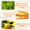 BSOON Champú Anticaída, Promueve el Crecimiento del Cabello, con Ginseng