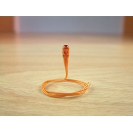 Expo 10pk Grain of Wheat 12v Amber Bulbs # A25033