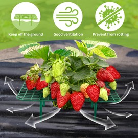 GouZaak 16 Pack Square Strawberry Supports Stand for Garden Strawberry Growing Racks for Keeping Garden Strawberry Clean (Green)