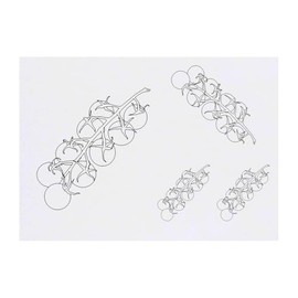 4 x 'Vine Tomatoes' Temporary Tattoos - Water Resistant, Skin-Safe, Non-Toxic Transfers, Mixed Sizes (TO00085214)