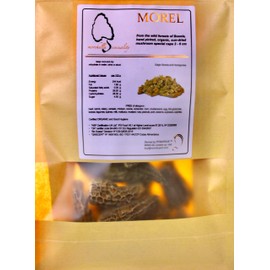 RYMARQUE Wild MOREL Morchella Mushrooms, Sun Dried CAPS (4-8 cm) - No Tails (100 grams)