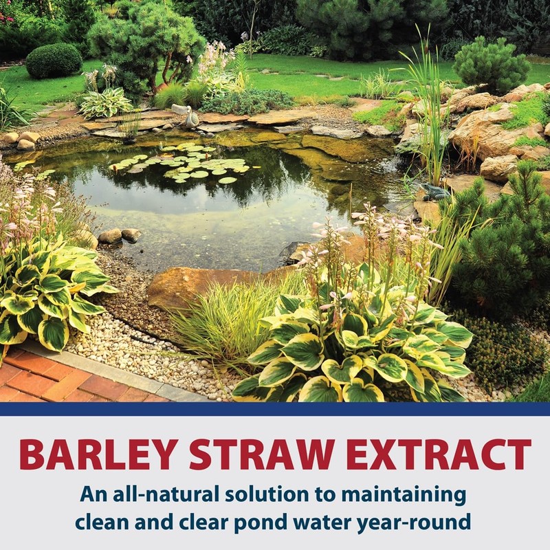 The Pond Guy Barley Extract Natural Liquid Treatment for Ponds