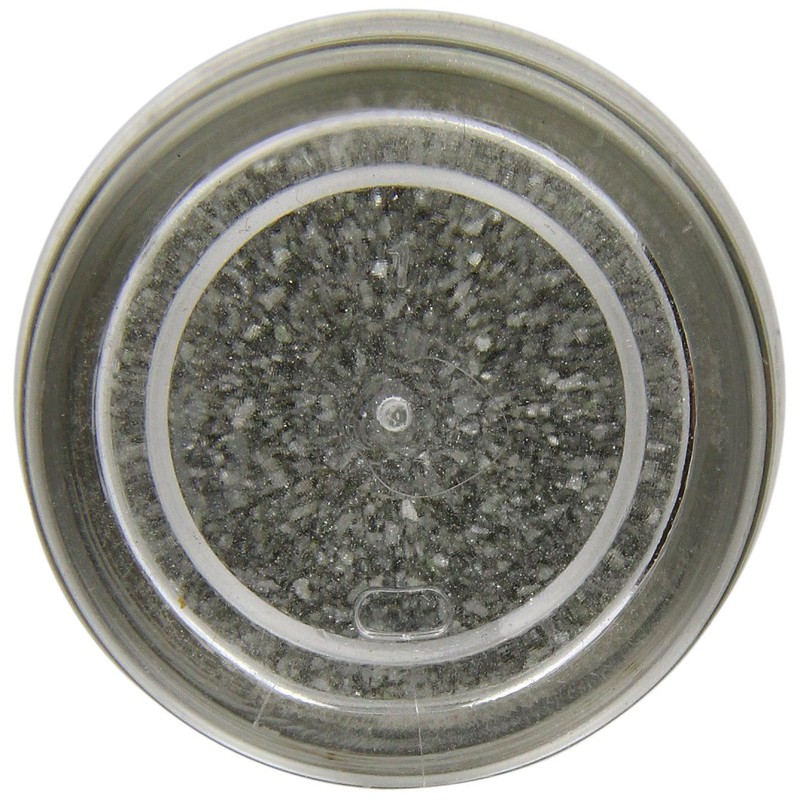 Rainbow Dust Edible Glitter Silver