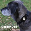 Dapper Dog Pet Tag Silencer and AirTag Holder (Black with