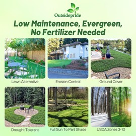 Outsidepride Perennial White MiniClover Seed - 1/4 lb. Dwarf, Small-Leaved, Drought & Wear-Tolerant Micro Clover Seeds for Lawn, Ideal Low-Maintenance & Easy to Grow Ground Cover Seeds for Home Yard