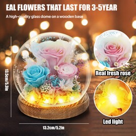 Birthday Gifts For Women Girlfriend Wife Anniversary Mother Gifts For Mom Real Roses Preserved Flowers - Forever Flowers For Delivery Prime - Mothers Day Home Decor Office Desk Decor Living Room Decor