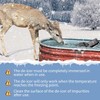 GUEOQTC 3PCS 250 Watt Bird Bath De-Icer with Thermostat, Cast