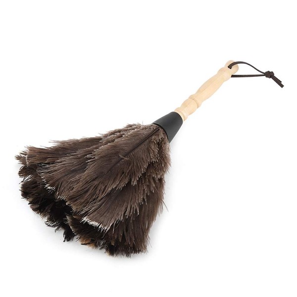 Feather Duster, Dust Remover, Feather Duster, Feather Duster, Broom, Car Down Alternative 13.4 inches (34 cm)