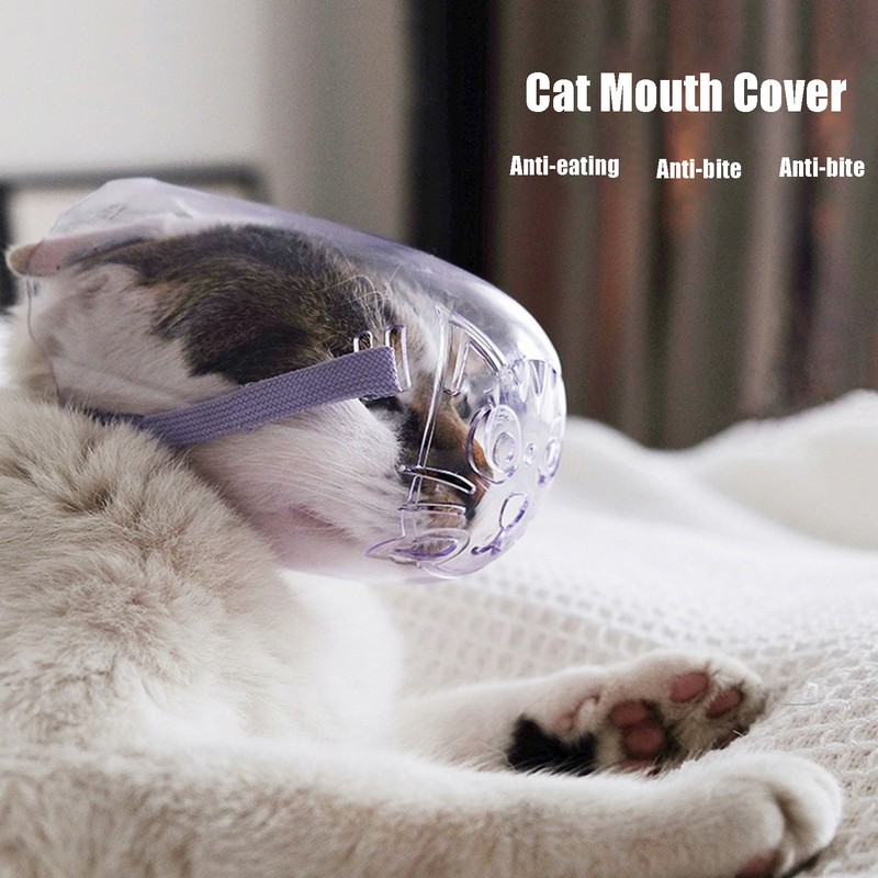 3pcs Cat Dog Muzzle AntiBite Cat Mouth Cover Breathable Transparent