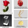 Icreer 24k Gold Rose Mothers Day for Mom Best Gifts,Real