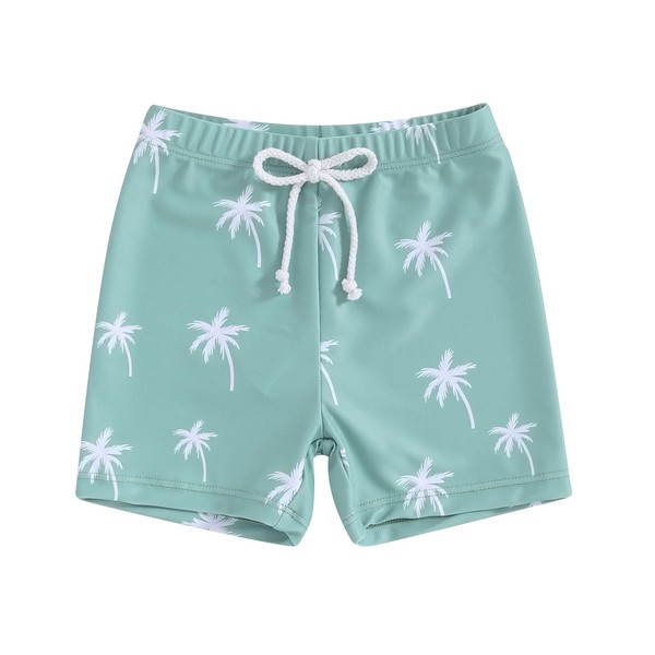 Felcia Little Boys Swim Shorts Casual Elastic Waistband Dinosaur Print