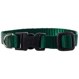 LupinePet Basics 1/2" Green 6-9" Adjustable Collar for Extra Small Dogs