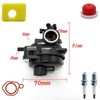 Viclaakesi 799583 593261 Carburetor Kits For Briggs&Stratton 595656 591979 591160