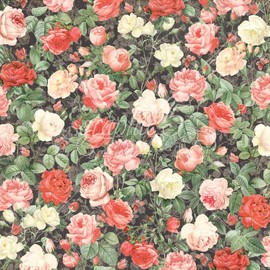 Graphic 45 Collector's Edition Pack 8"X8"-Mon Amor