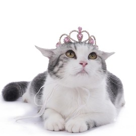 Lovelyshop Pet Series Pink Gem Gold Rhinestone Dog/Cat Tiara Crown for Costume Hair Accessories -Small Size