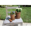 Gardens Eco Pot Series