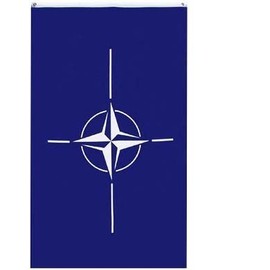 3x5 Nato Flag North Atlantic Treaty Organisation Flags by FLAG DISTRIBUTOR