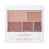Canmake Perfect Multi-Eyes 05 Powder, Almond Mocha, 0.1 oz (3.0