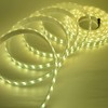 Super Bright 12V Double Row 600LED LED Strip Light, IP67