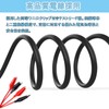 Alligator Clip Test Leads with Both Ends, Pack of 2,