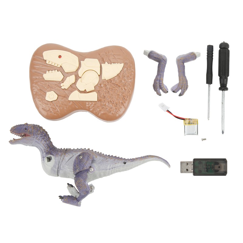 Remote Control Dinosaur Model 2.4G Realistic Walking Roaring Educational RC