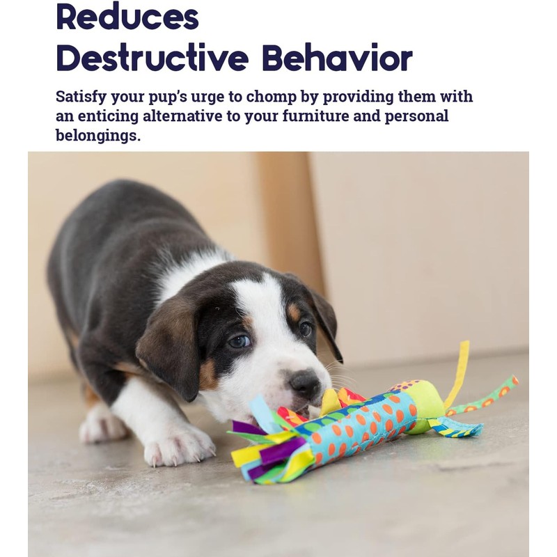Dog Toy Pet Stages Cool Teething Stick