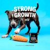 Strong Growth Suplemento Perros Gatos Polvo 350g Pets