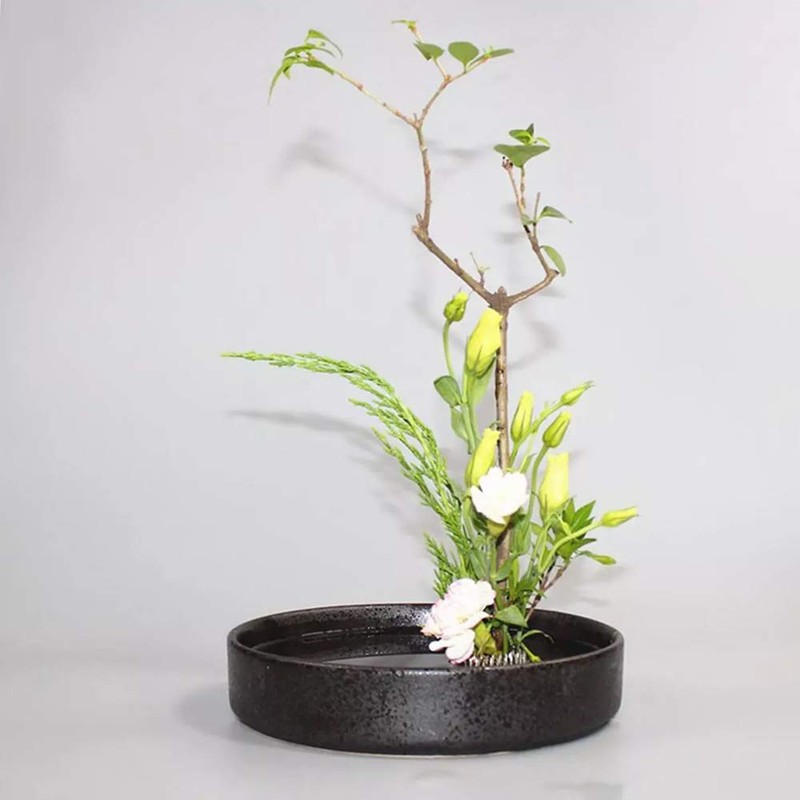 Flower Frog Stainless Steel Pin Frog Flower Arrangement Holder (50mm