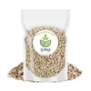 수입산 홍화씨 홍아씨 홍화자 500g Imported safflower seeds 500g
