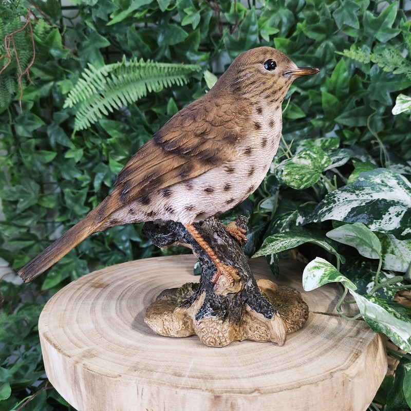Vivid Arts Garden Birds (Song Thrush)
