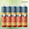 Ceci Cella Body Wash Family Set (5 Doppiers + 5 Blackberries) / 쎄씨쎌라 바디워시 패밀리구성도피피어 5개+블랙베리5개)