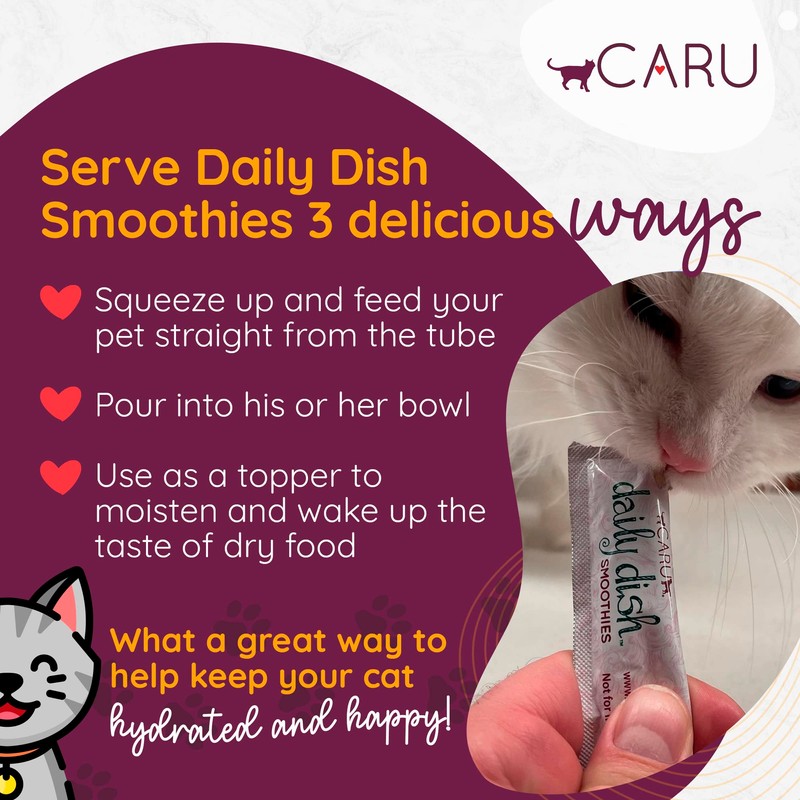 CARU Daily Dish Smoothies Chicken & Salmon Recipe Lickable Treat